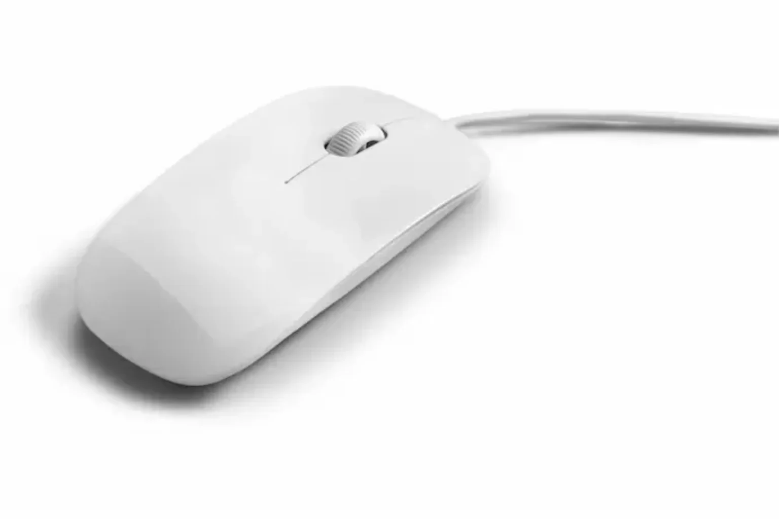 Mouse.
