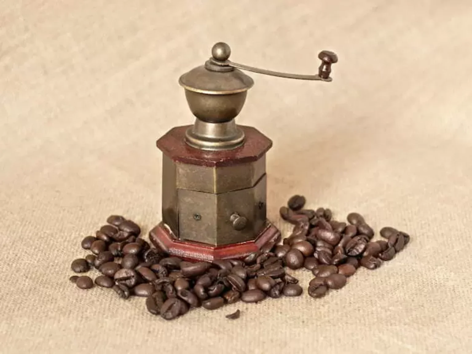 Moedor de café